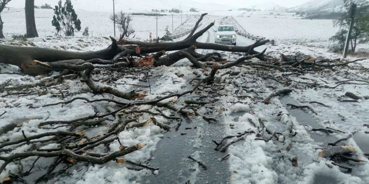 Children swept away in school bus among at least 49 killed in South Africa flooding